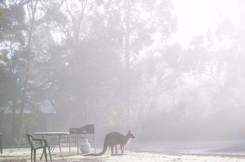 Gariwerd Motel - Accommodation Rockhampton 18