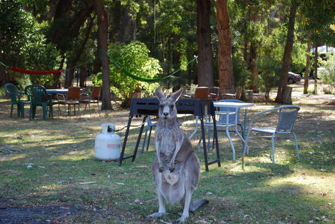 Gariwerd Motel - Accommodation Rockhampton 26