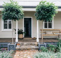 Acre of Roses - Accommodation Rockhampton