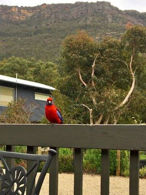 Kangurra Holiday House - Accommodation Rockhampton 15