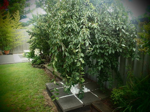 Azen Haven - Accommodation Rockhampton 12