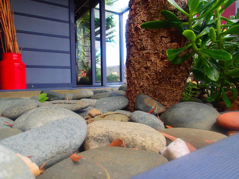 Azen Haven - Accommodation Rockhampton 11