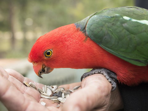 Gipsy Point Lodge & Cottages - Accommodation Rockhampton 17