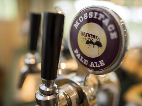 Gipsy Point Lodge & Cottages - Accommodation Rockhampton 16