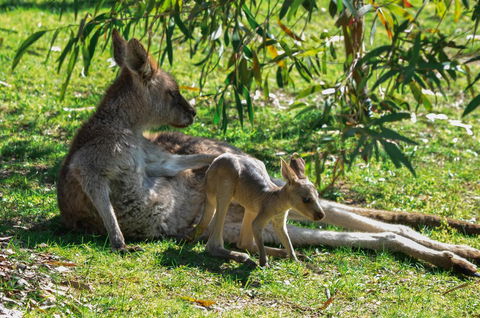 Blue Ridge Retreat - Accommodation Rockhampton 9