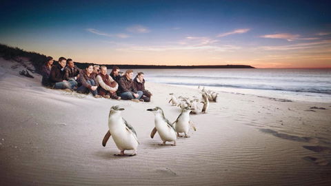 C-Scape Water Front Apartment - Accommodation Rockhampton 16