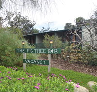 The Fig Tree BB - Accommodation Rockhampton