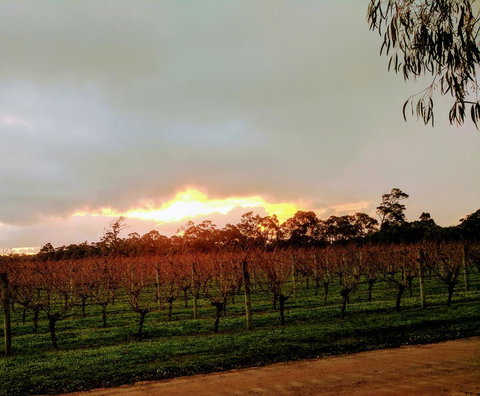 The Grove Distillery & Brewery - Accommodation Rockhampton 2
