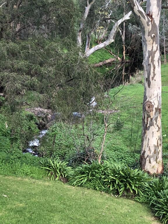 Cockatoo Valley SA Accommodation Rockhampton