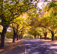 The Shelter Shed Garden Studio Apartment - Accommodation Rockhampton