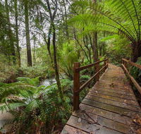 The Source Otways - Accommodation Rockhampton