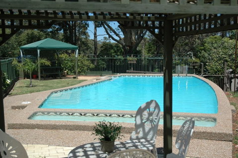 The Tree Motel - Accommodation Rockhampton 0