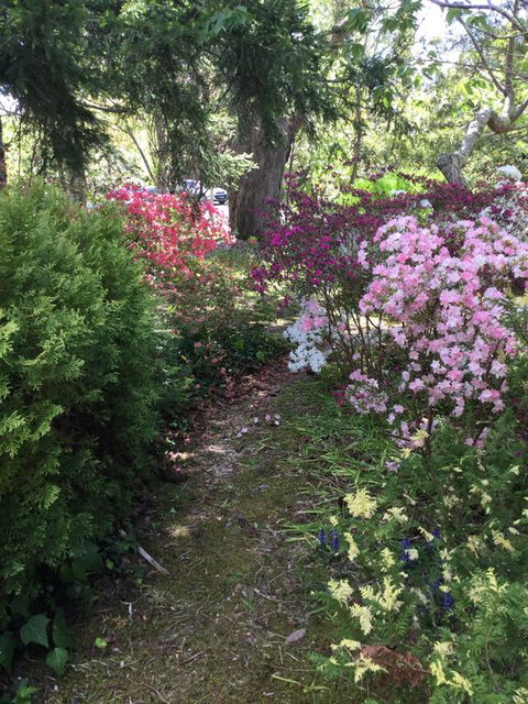 The Wentworth Retreat - Accommodation Rockhampton 3