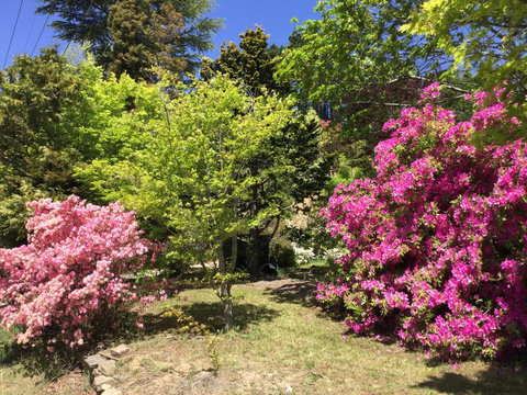 The Wentworth Retreat - Accommodation Rockhampton 1
