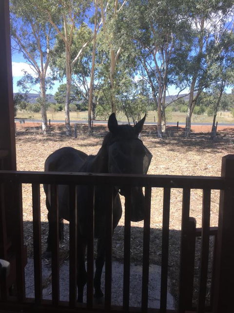 Thie My Chree Retreat - Accommodation Rockhampton 3