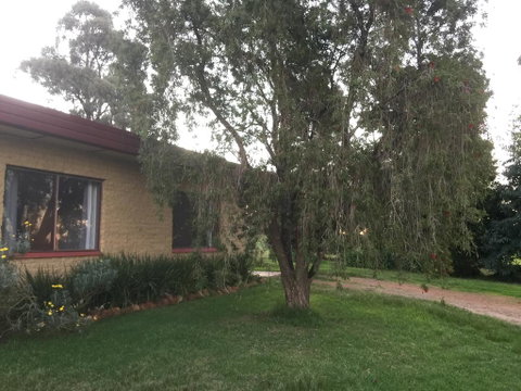 Tree Of Love Farm Stay - Accommodation Rockhampton 1