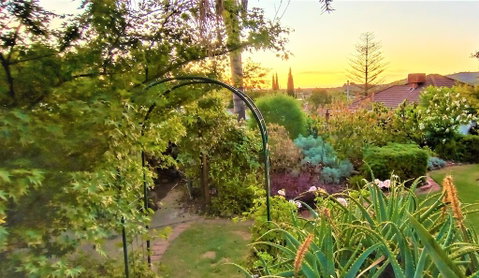 Treetops Escape - Accommodation Rockhampton 1