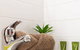 Trendy Loft Near Smith St. With Cosy Courtyard And Parking - thumb 3