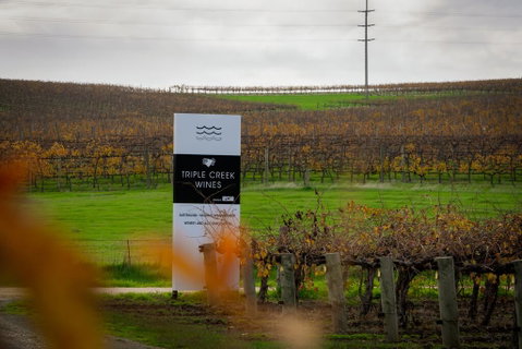 Triple Creek Guest House - Barossa Region - Accommodation Rockhampton 1