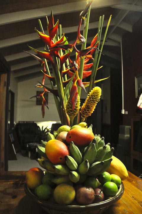 Tropical Bliss Bed And Breakfast - Accommodation Rockhampton 3