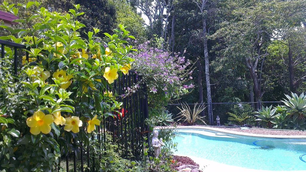 Duranbah NSW Accommodation Rockhampton