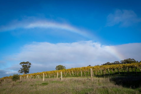 Triple Creek Guest House - Barossa Region - Accommodation Rockhampton 2