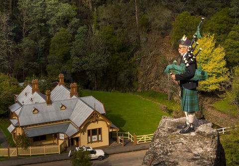 Walhalla Wild Cherry - Accommodation Rockhampton 2