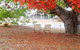 Walk To Beach Queenslander HOME In CBD Hervey Bay - thumb 3