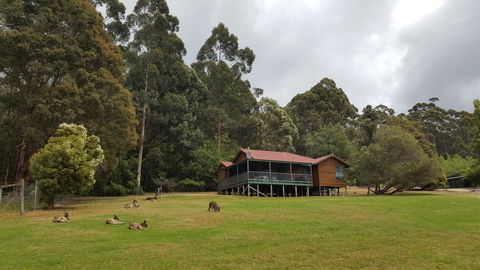 Walpole Wilderness Resort - Accommodation Rockhampton 0