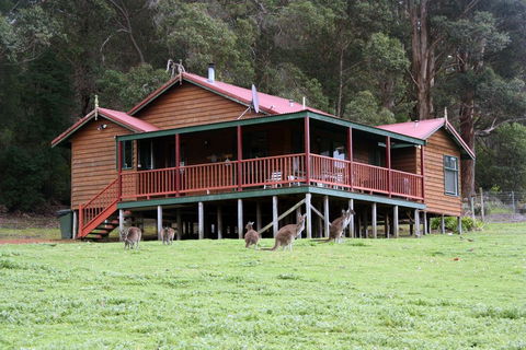 Walpole Wilderness Resort - Accommodation Rockhampton 1