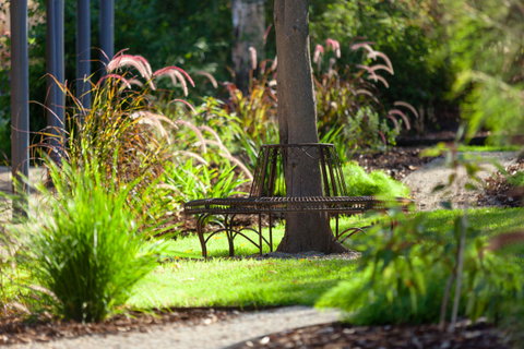 Blazing Stump Motel & Suites - Accommodation Rockhampton 35