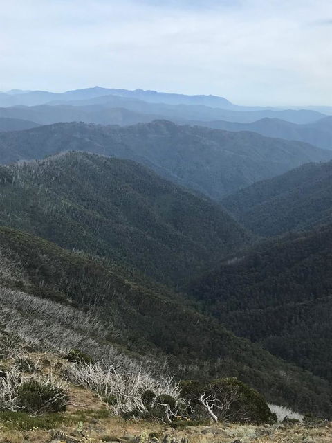 Alpine Aspects - Accommodation Rockhampton 9