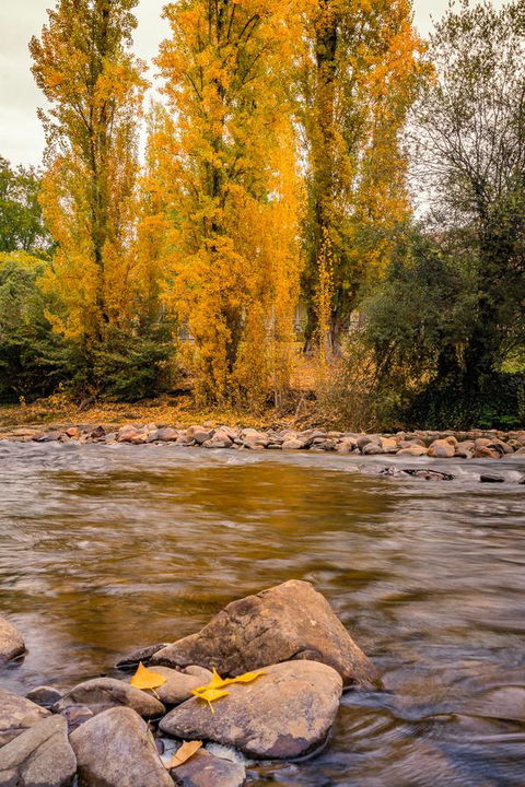 Alpine Aspects - Accommodation Rockhampton 6