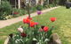 Alpine Aspects - thumb 7
