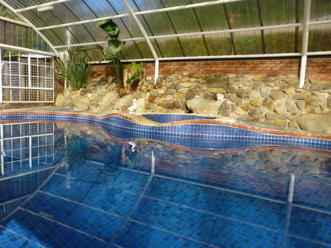 Alpine Aspects - Accommodation Rockhampton 39