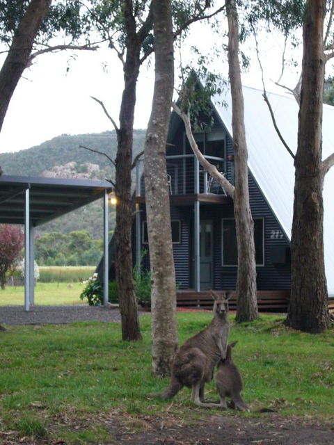The A-Frame - Accommodation Rockhampton 1