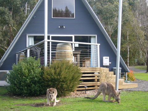 The A-Frame - Accommodation Rockhampton 10