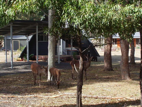 The A-Frame - Accommodation Rockhampton 13