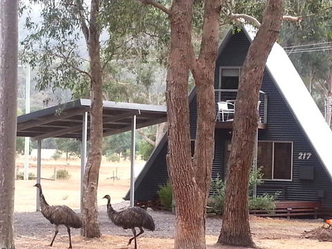 The A-Frame - Accommodation Rockhampton 9