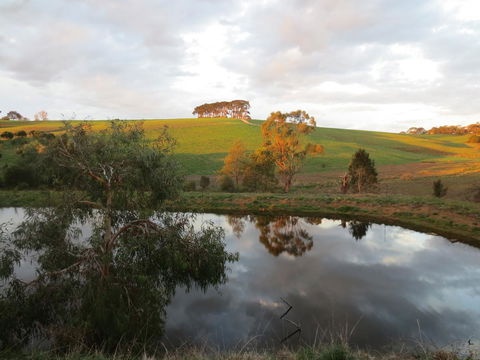 Walnut Cottage Via Leongatha - Accommodation Rockhampton 10