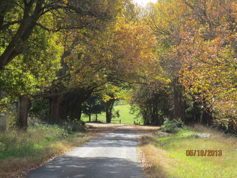 Walnut Cottage Via Leongatha - Accommodation Rockhampton 11