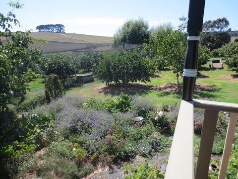 Walnut Cottage Via Leongatha - Accommodation Rockhampton 9