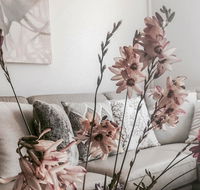 Bed of Roses - Accommodation Rockhampton