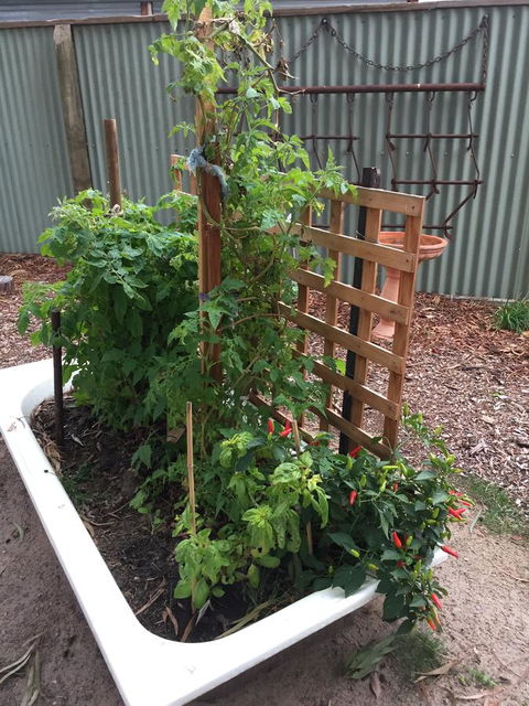 Grampians Pomonal Cottages - Accommodation Rockhampton 28