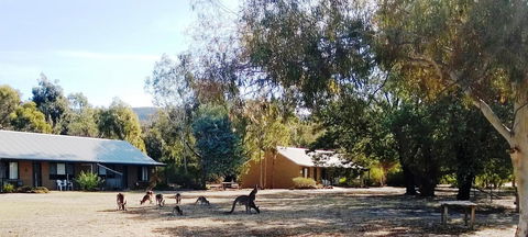 Grampians Pomonal Cottages - Accommodation Rockhampton 6