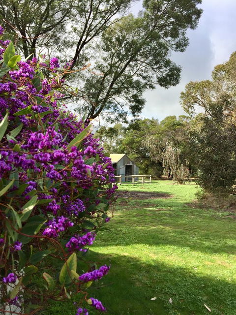 Grampians Pomonal Cottages - Accommodation Rockhampton 21