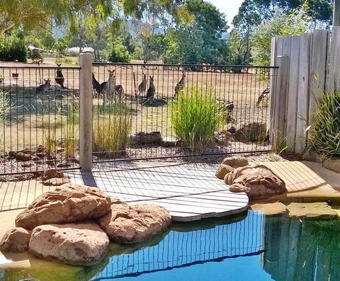 Grampians Pomonal Cottages - Accommodation Rockhampton 24
