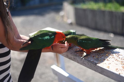 Seacroft Estate - Accommodation Rockhampton 13