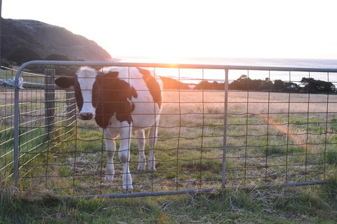 Seacroft Estate - Accommodation Rockhampton 19