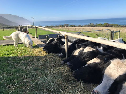 Seacroft Estate - Accommodation Rockhampton 5